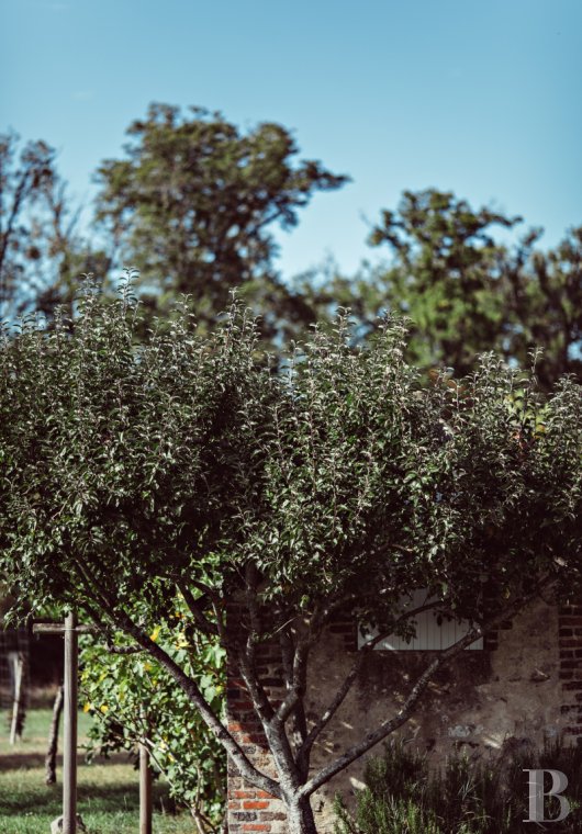 In Touraine, an hour from Paris by train, a country house available for year-round rental, with access to the services and facilities of a vast estate - photo  n°16